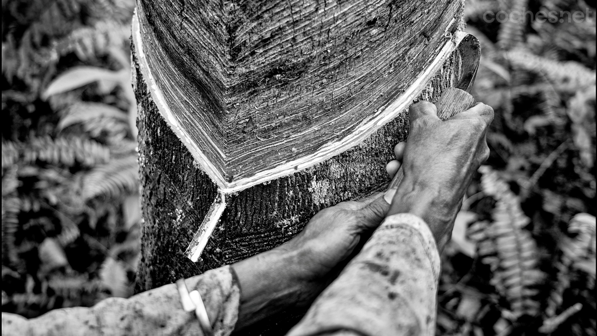 La utilización del caucho natural, así como el reciclaje del agua empleada en la fabricación son puntos clave para Pirelli