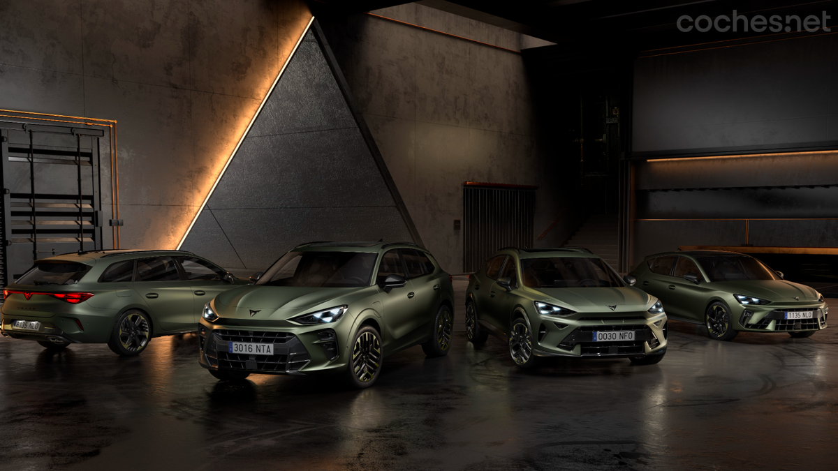 “Tribe Editions” de Cupra Formentor, León, y Terramar | Noticias coches.net