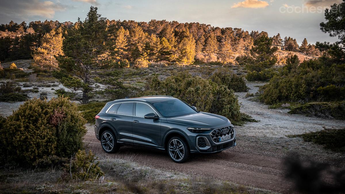 La nueva línea de hombro del Q5 crea una silueta poderosa y deportiva, perfecta para embelesar a los amantes de este SUV.