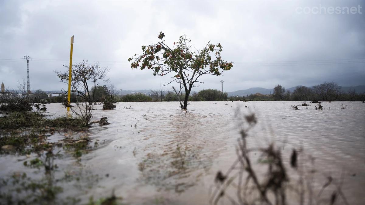 Tráfico simplifica los trámites para la baja temporal de vehículos afectados por la DANA