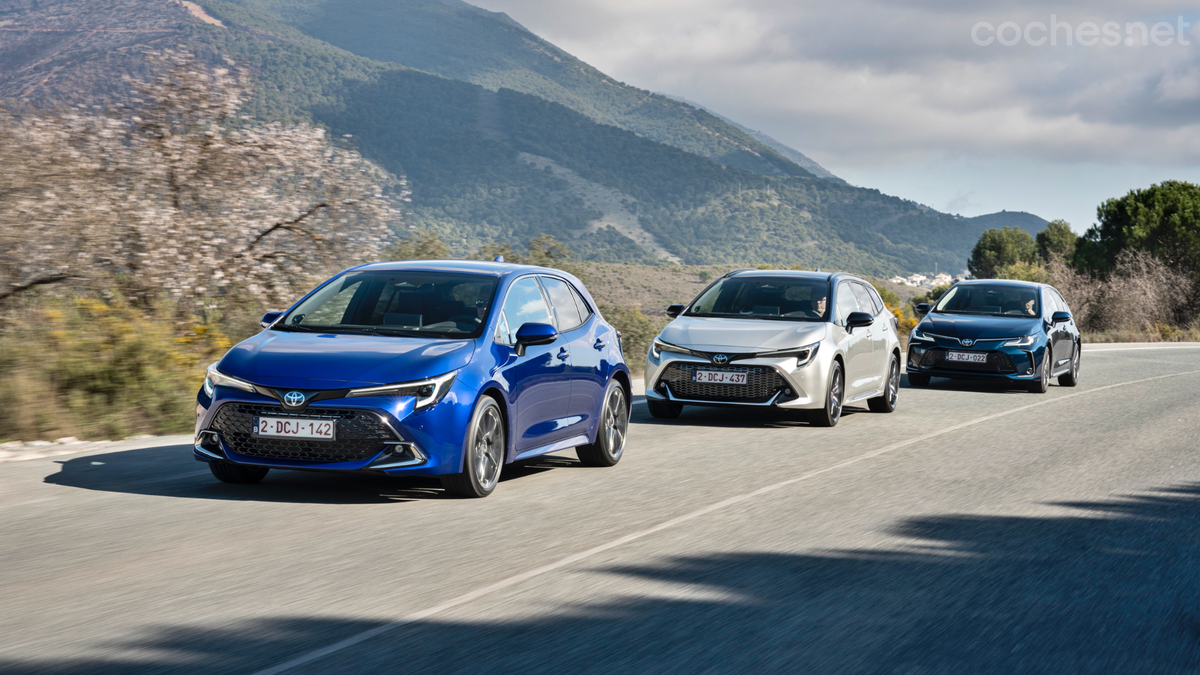 Todas las variantes de carrocería se ajustan a las especificaciones del Toyota Corolla "model year" 2024.
