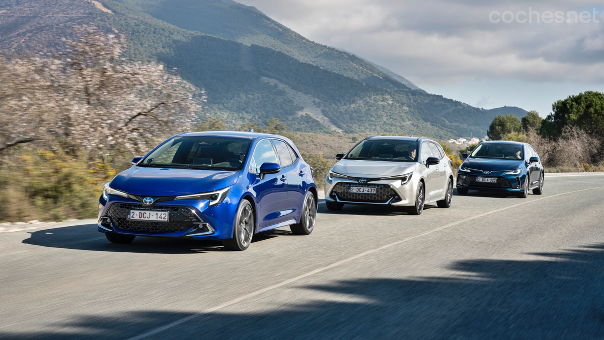 Nuevo Toyota Corolla 2024 Pequeña actualización Noticias